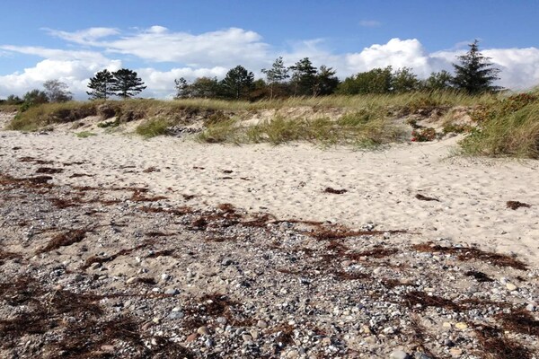 Foto van 8 persoons vakantie huis in Sydals - Vakantiehuis in Sydals - Untagged