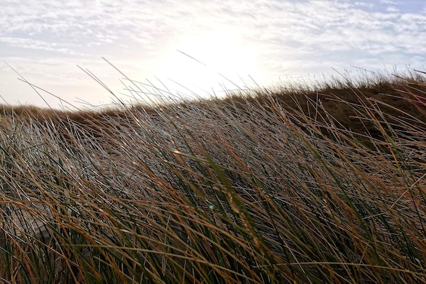 Foto van 8 persoons vakantie huis in Ringkøbing - Vakantiehuis in Ringkøbing - WaterView
