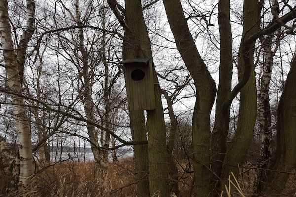 Foto van 8 persoons vakantie huis in Ebeltoft - Vakantiehuis in Ebeltoft - Untagged
