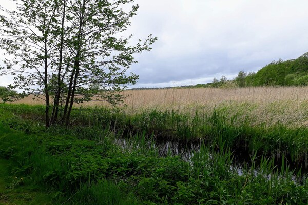 Foto van 8 persoons vakantie huis in Ebeltoft - Vakantiehuis in Ebeltoft - Untagged