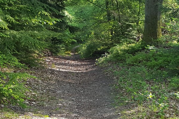 Foto van 8 persoons vakantie huis in Ebeltoft - Vakantiehuis in Ebeltoft - Untagged