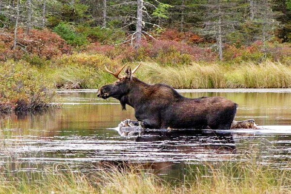 Foto van 9 persoons vakantie huis in KÄLARNE - Vakantiehuis in KÄLARNE - Untagged