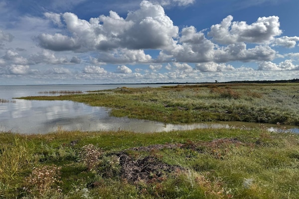 Foto van 8 persoons vakantie huis in Ørsted-By Traum - Vakantiehuis in Ørsted - WaterView