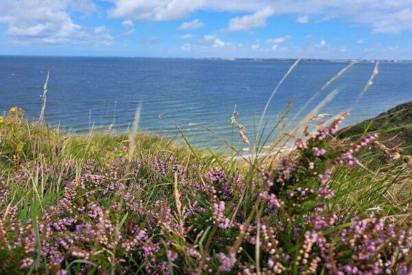 Foto van 7 persoons vakantie huis in Struer-By Traum - Vakantiehuis in Struer - WaterView
