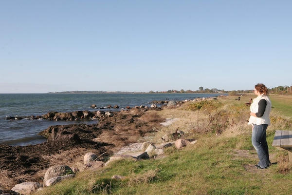 Foto van Luxe strandtoevlucht -- By Traum Ferienwohnungen - Vakantiehuis in Rude - View