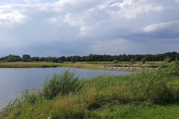 Foto van 8 persoons vakantie huis in Nysted - Vakantiehuis in Nysted - WaterView