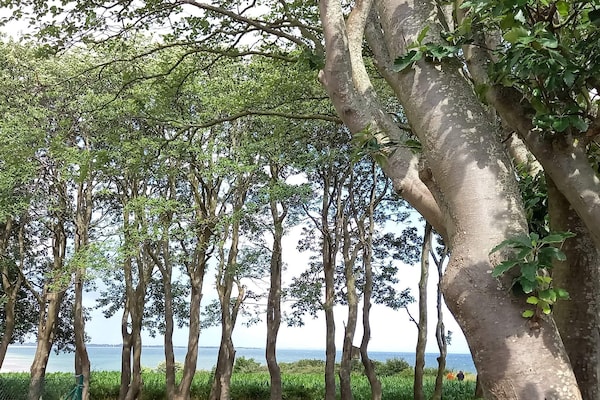 Foto van 8 persoons vakantie huis in Sydals-By Traum - Vakantiehuis in Sydals - Untagged