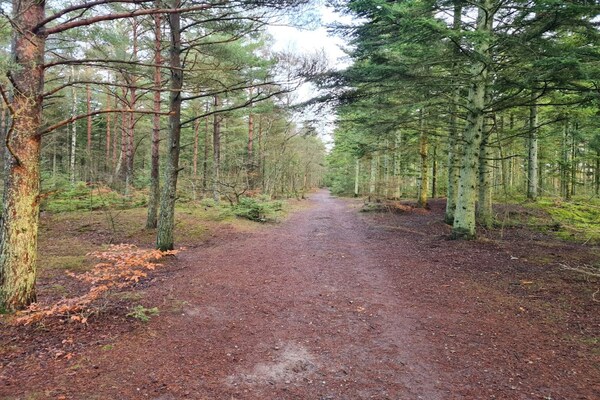 Foto van 8 persoons vakantie huis in Ålbæk-By Traum - Vakantiehuis in Ålbæk - Untagged