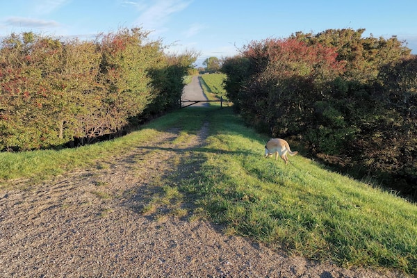 Foto van 8 persoons vakantie huis in Dannemare-By Traum - Vakantiehuis in Dannemare - Untagged