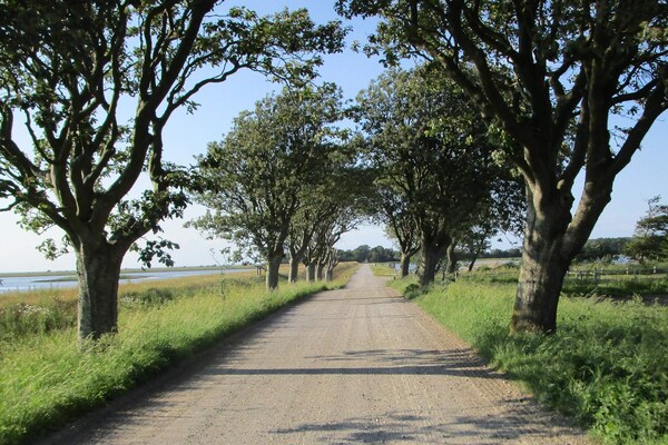 Foto van 8 persoons vakantie huis in Harboøre-By Traum - Vakantiehuis in Harboøre - Untagged