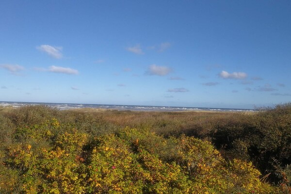 Foto van 8 persoons vakantie huis in Bindslev-By Traum - Vakantiehuis in Bindslev - Untagged