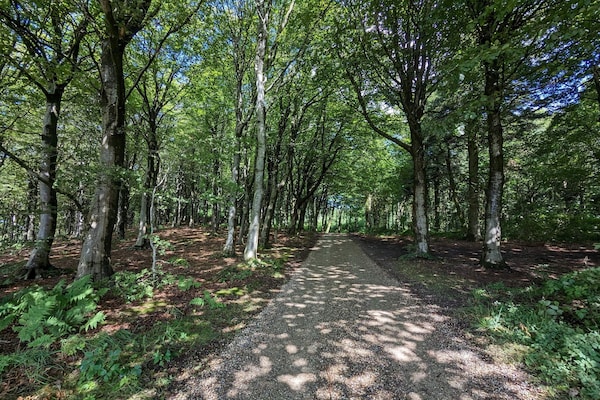 Foto van 8 persoons vakantie huis in Vestervig - Vakantiehuis in Vestervig - Untagged