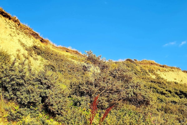 Foto van 8 persoons vakantie huis in Vestervig - Vakantiehuis in Vestervig - Untagged