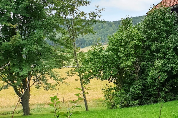 Foto van 4 persoons vakantie huis in JÄRVSÖ-By Traum - Vakantiehuis in JÄRVSÖ - Outdoor