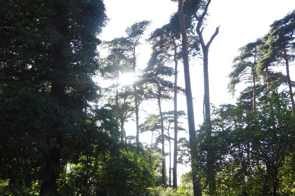 Foto van 8 persoons vakantie huis in Bogense-By Traum - Vakantiehuis in Bogense - Untagged