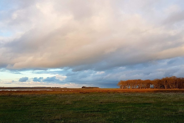 Foto van 8 persoons vakantie huis in Bogense-By Traum - Vakantiehuis in Bogense - Untagged