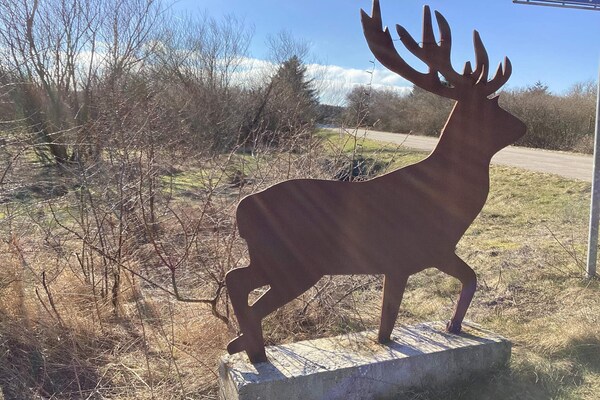 Foto van 8 persoons vakantie huis in Brovst-By Traum - Vakantiehuis in Brovst - Outdoor