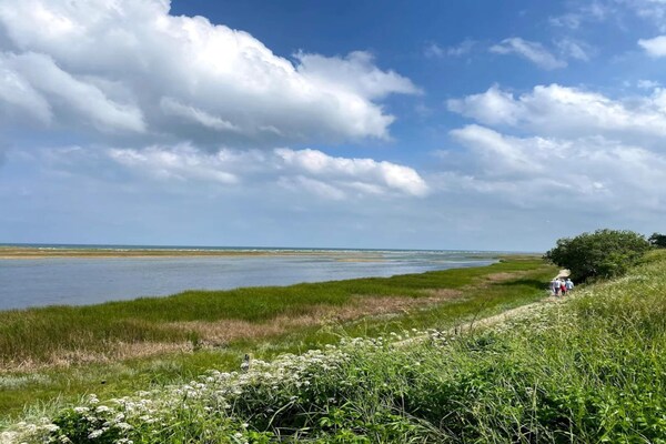 Foto van 8 persoons vakantie huis in Hadsund-By Traum - Vakantiehuis in Hadsund - WaterView