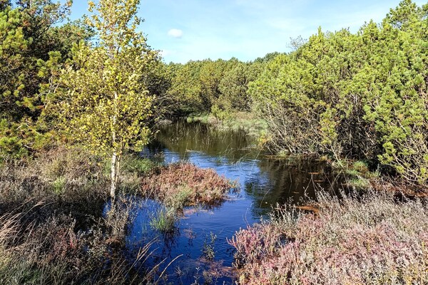 Foto van 8 persoons vakantie huis in Rømø-By Traum - Vakantiehuis in Rømø - WaterView