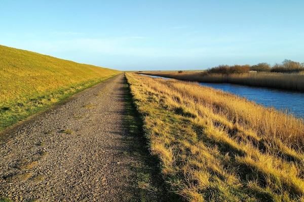 Foto van 8 persoons vakantie huis in Rømø-By Traum - Vakantiehuis in Rømø - Outdoor