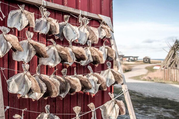 Foto van Gezellig strandhuisje -- By Traum Ferienwohnungen - Vakantiehuis in Hvide Sande - Untagged