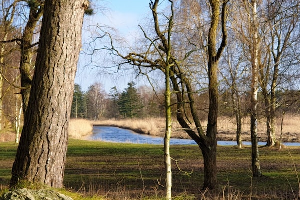 Foto van 8 persoons vakantie huis in Store Fuglede-By Traum - WaterView