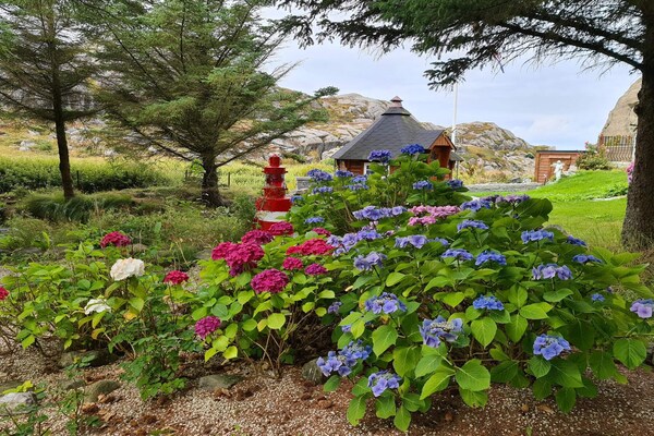 Foto van 8 persoons vakantie huis in skudeneshavn-By Traum - Vakantiehuis in Skudeneshavn - Outdoor