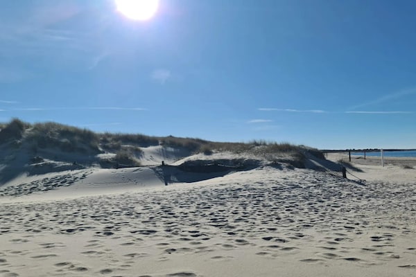 Foto van 24 persoons vakantie huis in Læsø-By Traum - Vakantiehuis in Læsø - Untagged