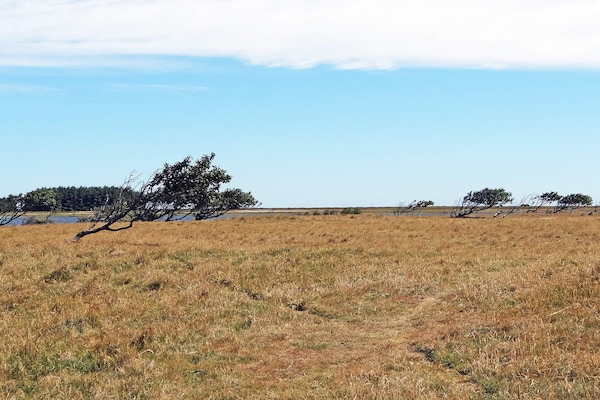 Foto van 8 persoons vakantie huis in Lemvig-By Traum - Vakantiehuis in Lemvig - Untagged