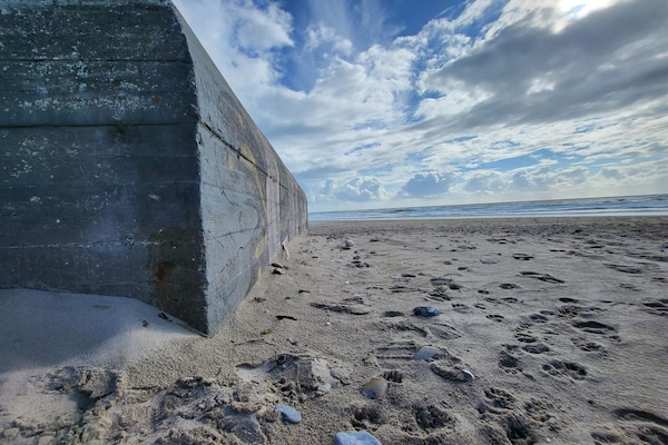 Foto van 7 persoons vakantie huis in Ulfborg-By Traum - Vakantiehuis in Ulfborg - Untagged