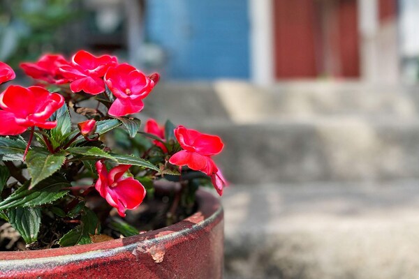 Foto van 8 persoons vakantie huis in ÖRSJÖ-By Traum - Vakantiehuis in ÖRSJÖ - Outdoor