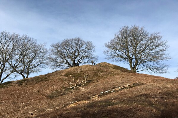 Foto van 8 persoons vakantie huis in Gjern-By Traum - Vakantiehuis in Gjern - Untagged
