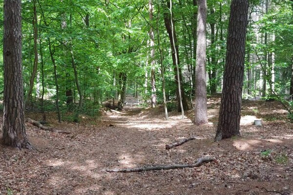 Foto van 8 persoons vakantie huis in Oksbøl-By Traum - Vakantiehuis in Oksbøl - View