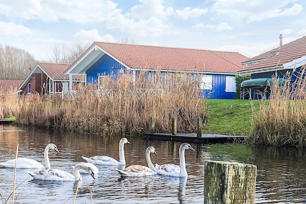 Foto van 4 sterren vakantie huis in Ottendorf - Vakantiehuis in Ottendorf - Outdoor