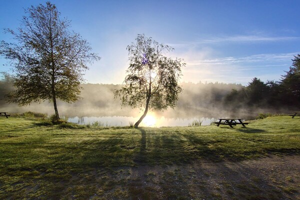 Foto van 8 persoons vakantie huis in Toftlund-By Traum - Vakantiehuis in Toftlund - Untagged