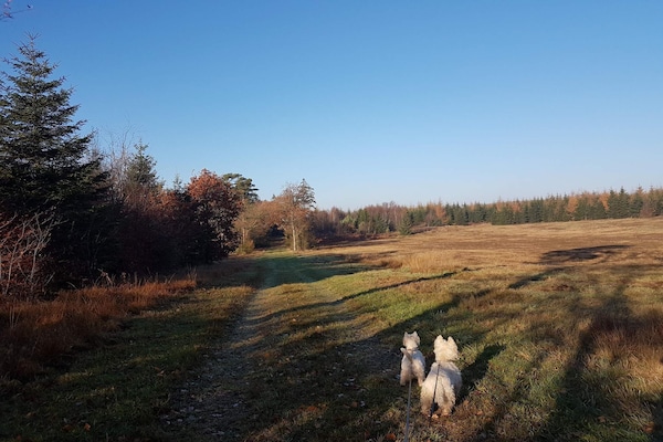 Foto van 8 persoons vakantie huis in Toftlund-By Traum - Vakantiehuis in Toftlund - Untagged