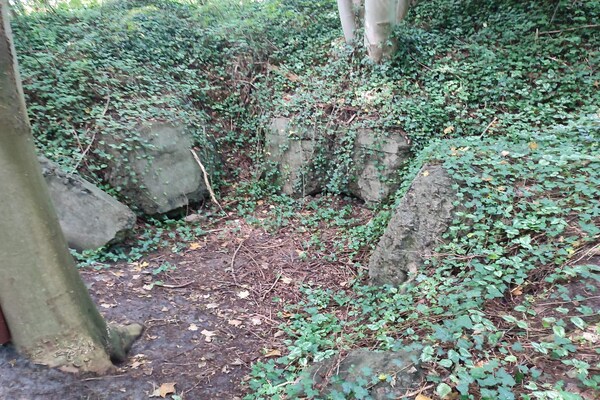 Foto van 8 persoons vakantie huis in Toftlund-By Traum - Vakantiehuis in Toftlund - Untagged