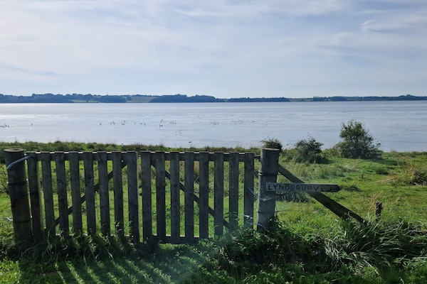 Foto van 8 persoons vakantie huis in Skals-By Traum - Vakantiehuis in Skals - Untagged