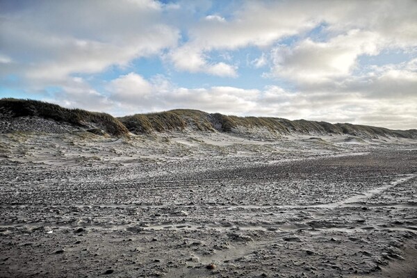 Foto van 8 persoons vakantie huis in Ulfborg-By Traum - Vakantiehuis in Ulfborg - Untagged
