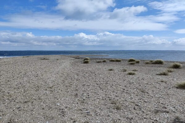 Foto van 5 persoons vakantie huis in Fur-By Traum - Vakantiehuis in Fur - WaterView