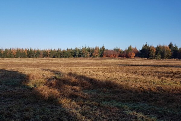 Foto van 4 persoons vakantie huis in Toftlund-By Traum - Vakantiehuis in Toftlund - Untagged