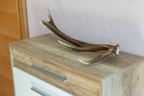 Foto van Appartement Kaprun Bergzicht Skiën - Vakantiehuis in Piesendorf - Walchen - Ambiance