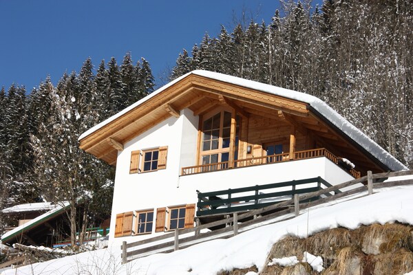Foto van Chalet in Königsleiten bij Skigebied - Vakantiehuis in Wald-Königsleiten - ExteriorWinter