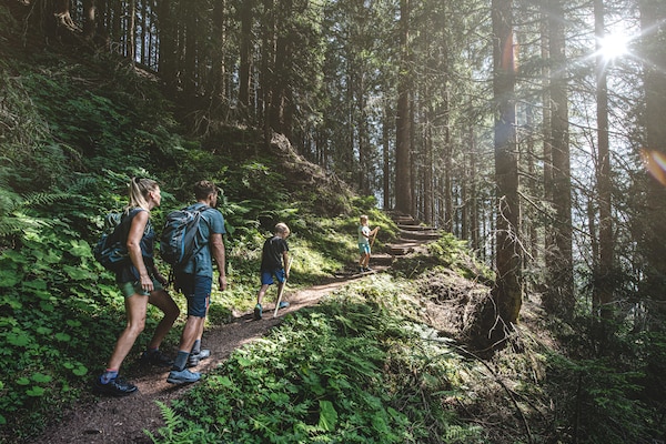 Foto van Vakantie op een biologische boerderij vlakbij skipistes - AreaSummer20KM