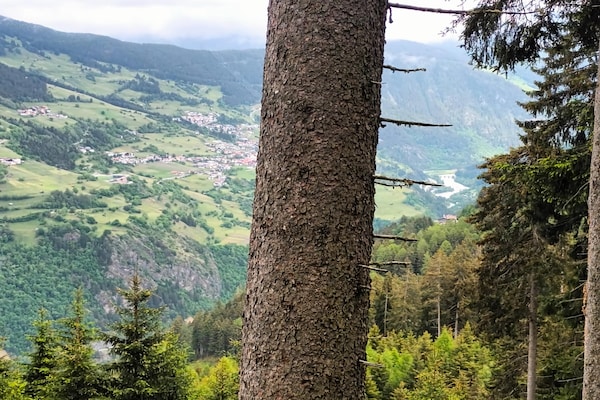 Foto van Appartement Hochgallmigg bij Skipistes - Vakantiehuis in Hochgallmigg - AreaSummer1KM