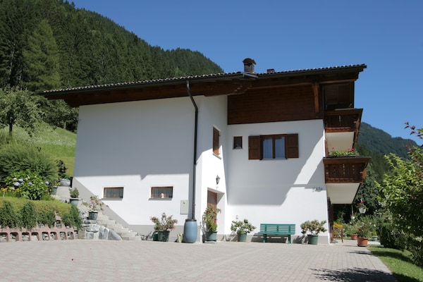 Foto van Appartement in St. Gallenkirch bij skigebied - Vakantiehuis in St. Gallenkirch - ExteriorSummer