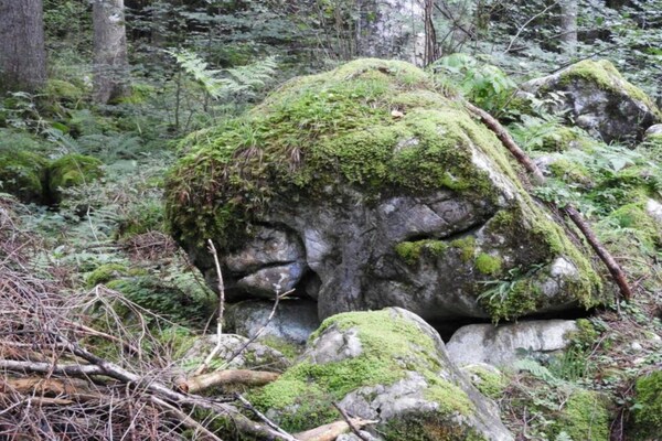 Foto van Chalet in Sibratsgfäll bij Skigebied - Vakantiehuis in Sibratsgfäll - AreaSummer20KM