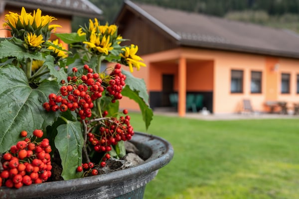Foto van Bungalow in Glödnitz nabij de Nockberge Alpen - Vakantiehuis in Glödnitz - Ambiance