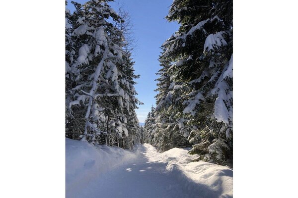 Foto van Vakantieappartement met 2 slaapkamers - Vakantiehuis in St.Urban - Untagged