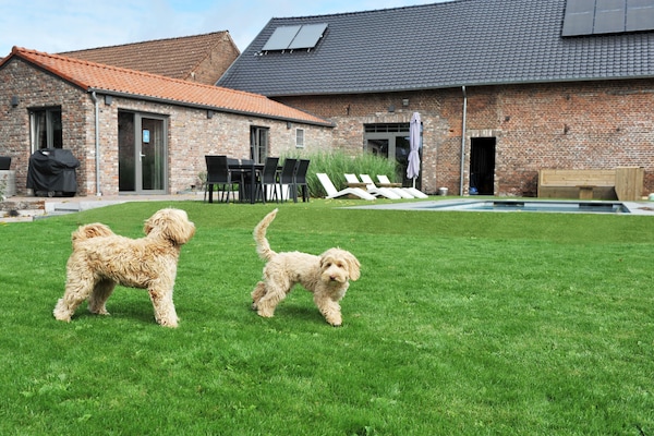 Foto van Vlaanderen Gezellig Huisje - Vakantiehuis in Vlaanderen - GardenSummer